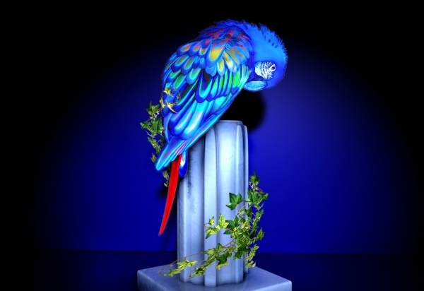 Creation of flash on parrot: Step 6